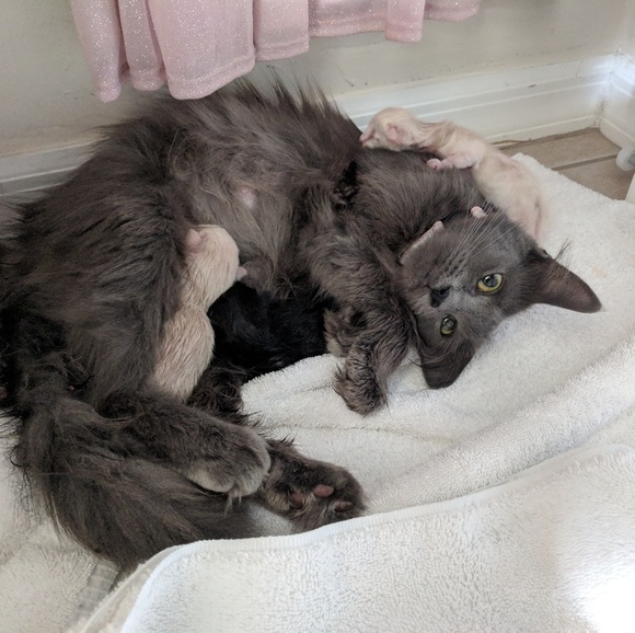 Here for Gaia and Healing! - Picture 6 of 8